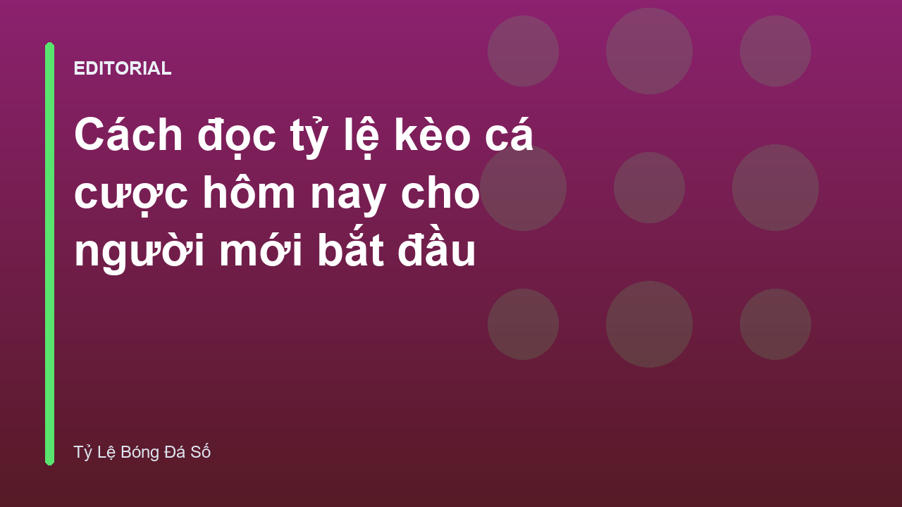 Hướng dẫn người mới cách đọc bảng tỷ lệ kèo bóng đá